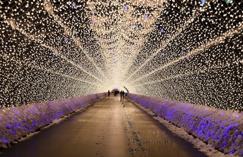 Huge Nature-Themed Light Show Illuminates Winter Nights in Japan | Frommer's