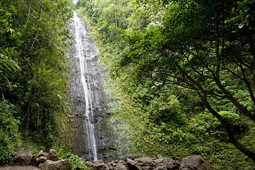 Adventurers re-energize themselves aside the soothing and spectacular Manoa Falls.