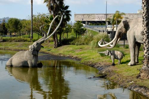 La Brea Tar Pits at the Page Museum.