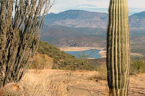 A river view from Tonto National Forest.