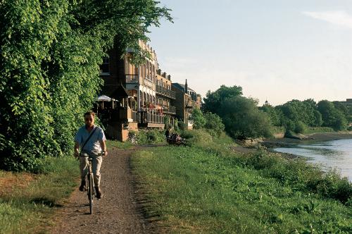 Cyclist on the tow path by the River Thames in Barnes, London. Ye White Hart pub is in the background.