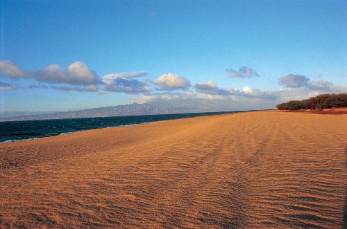Polihua Beach nearly takes on a desert quality.